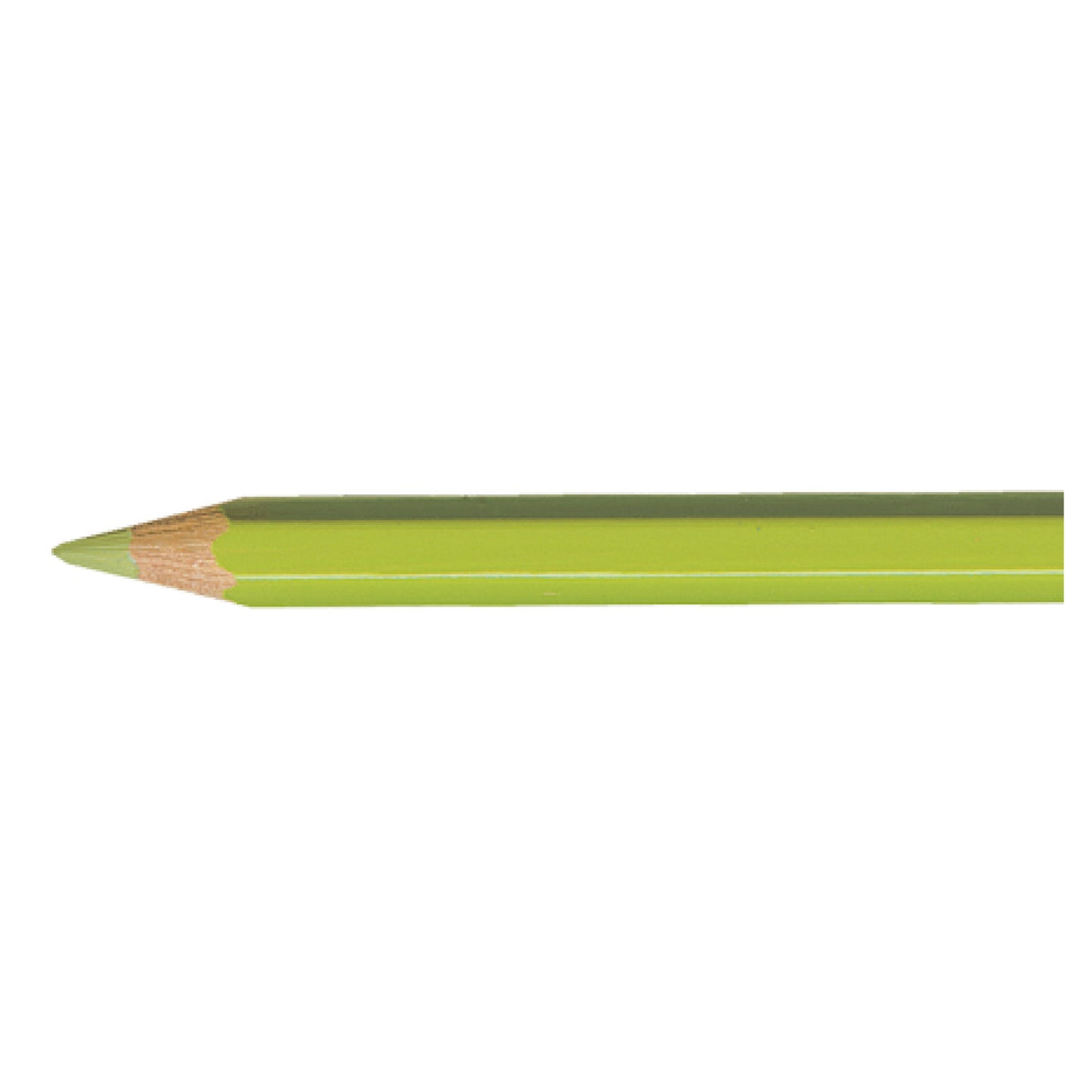 Pablo LIGHT OLIVE 245 Kleurpotlood Caran d'Ache
