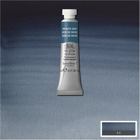 Payne's Grey 5ml 465 S1 Artist's Aquarel Winsor & Newton