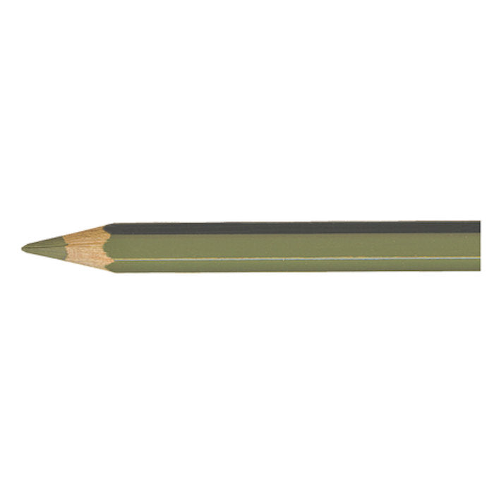 Supracolor OLIVE BLACK 019 Aquarelpotlood Caran d'Ache