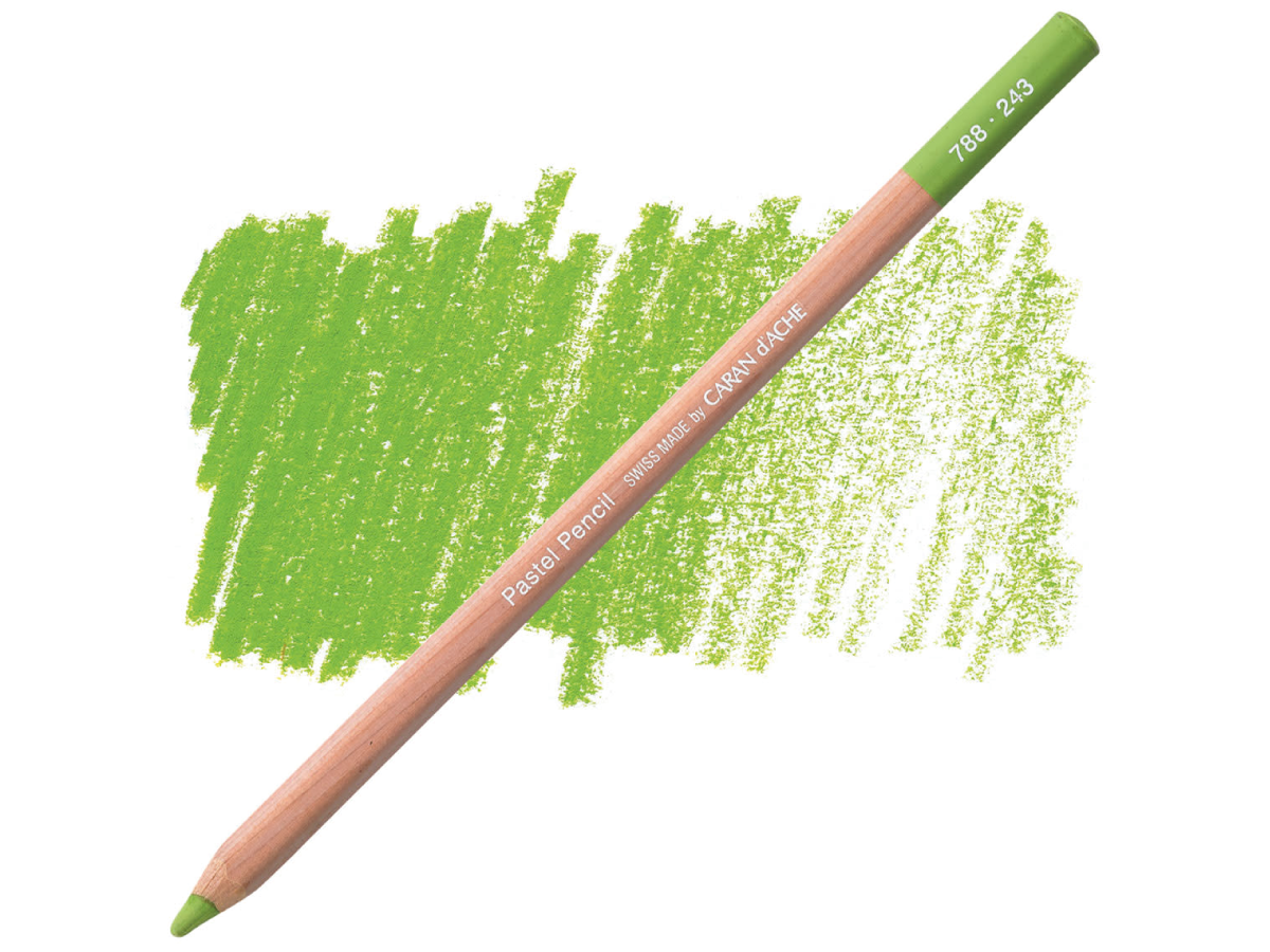 243 Light Olive 20% Pastel Potlood Caran D'Ache