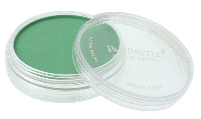 Permanent Green 640.5 PanPastel doosje 9ml