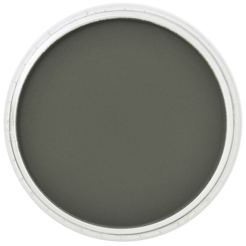 Chromium Oxide Green Extra Dark 660.1 PanPastel doosje 9ml