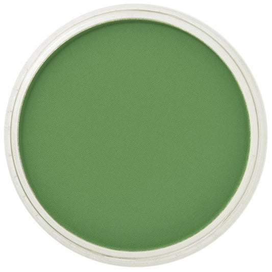 Chromium Oxide Green 660.5 PanPastel doosje 9ml