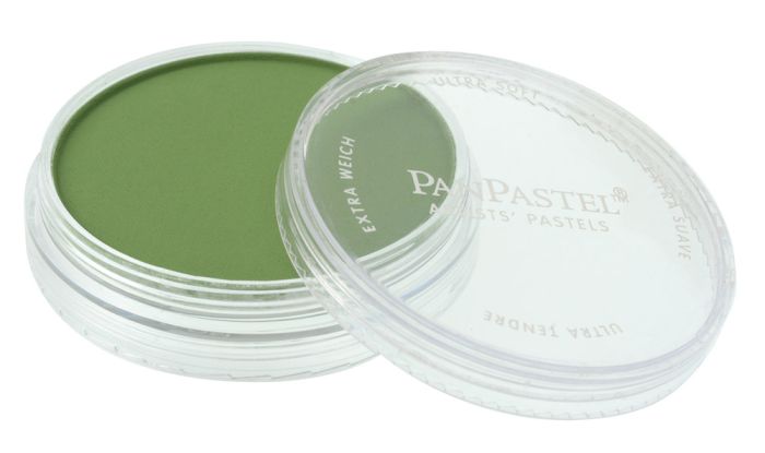 Chromium Oxide Green 660.5 PanPastel doosje 9ml