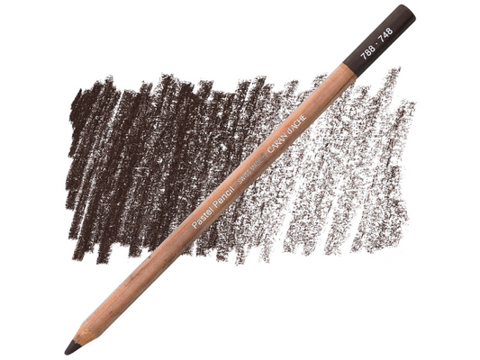 748 Dark Flesh Pastel Potlood Caran D'Ache