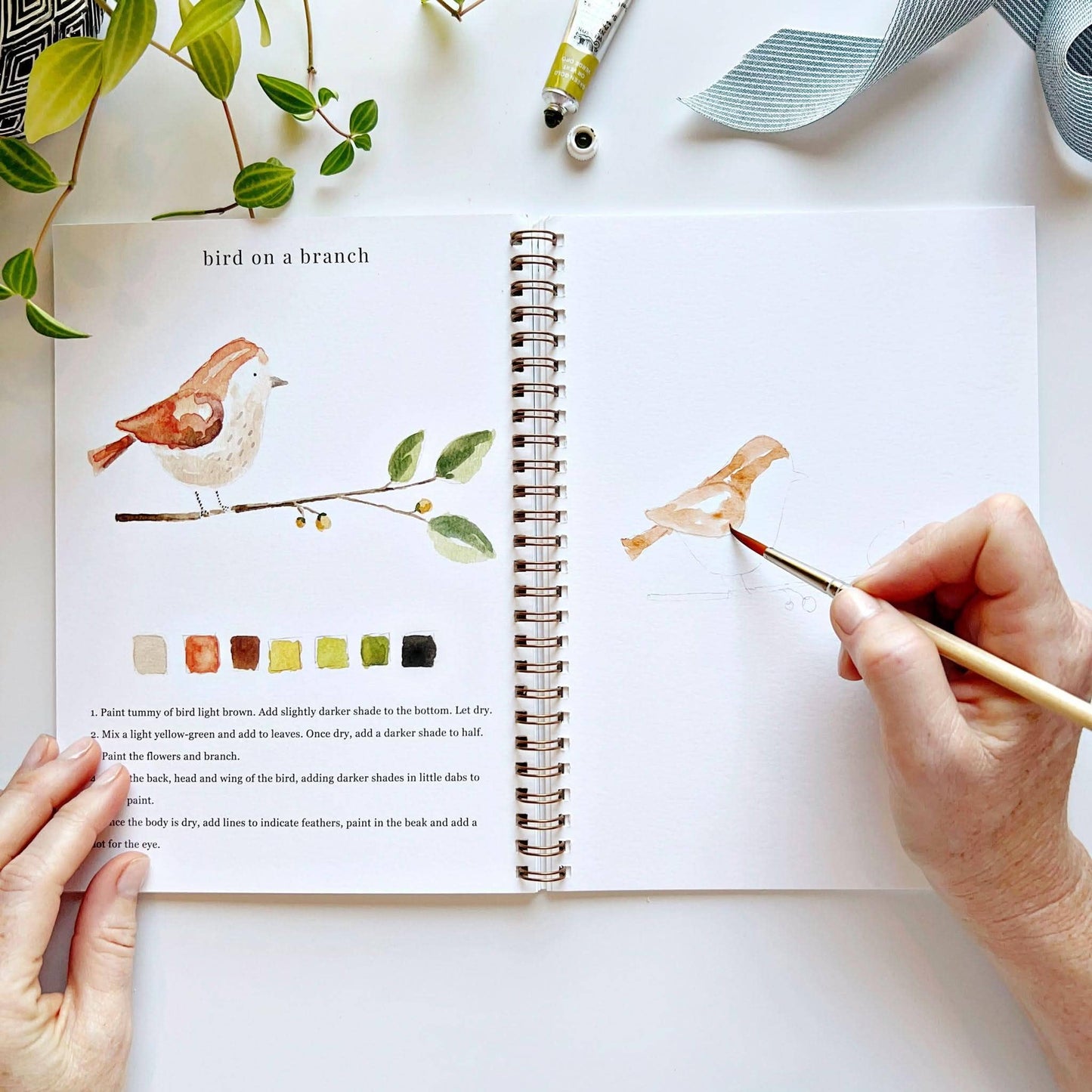 Aquarelverf werkboek - Dieren - emily lex studio watercolor workbook