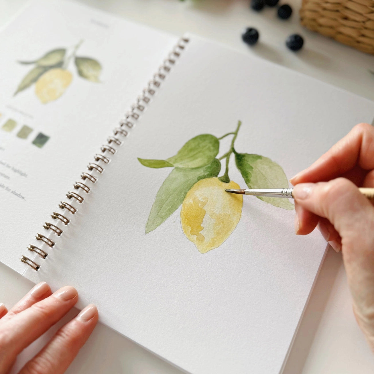 Aquarelverf werkboek - Fruit- emily lex studio watercolor workbook