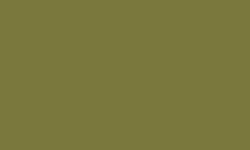 Luminance OLIVE BROWN 039 Kleurpotlood Caran d'ache