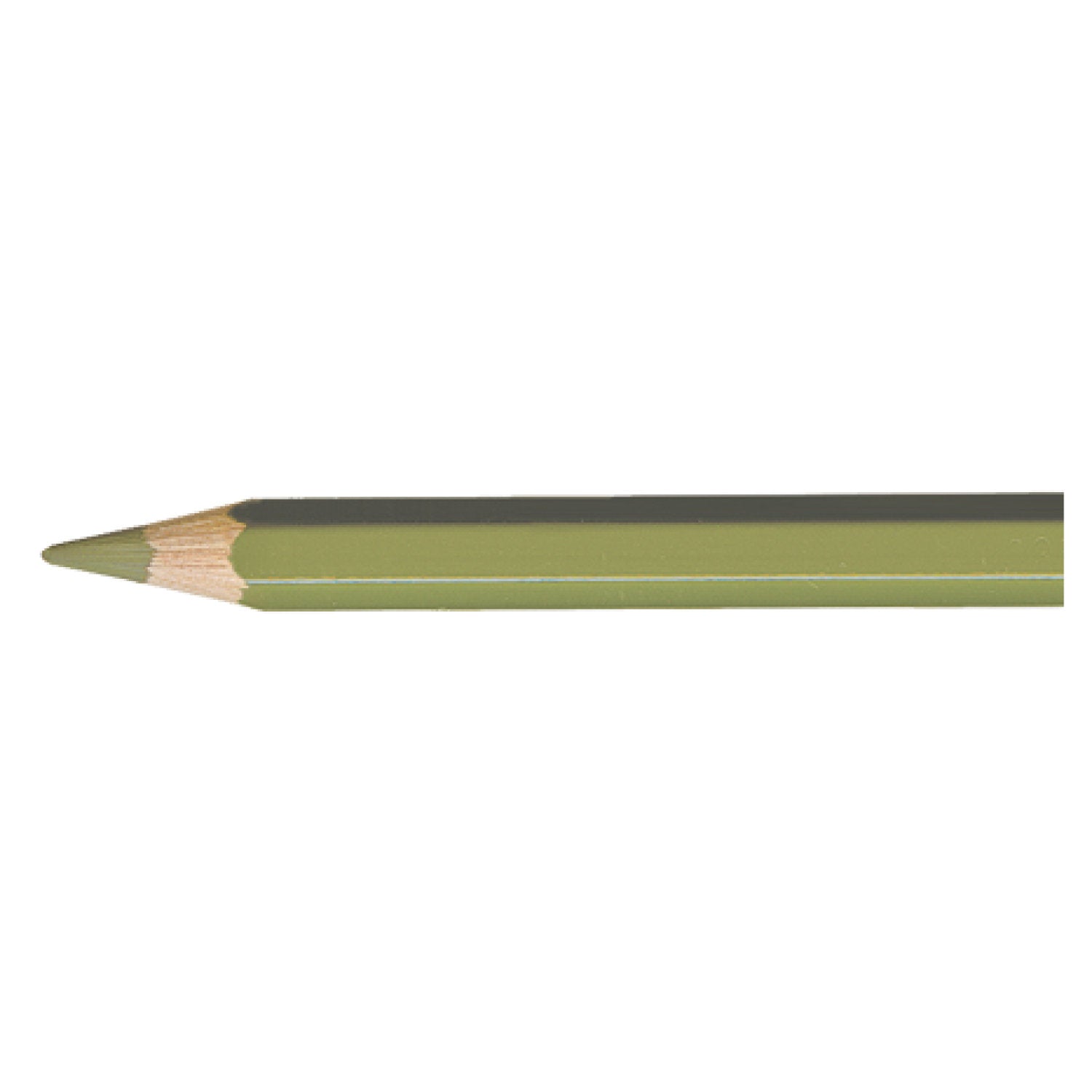 Pablo OLIVE GREY  018 Kleurpotlood Caran d'Ache