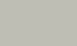 Luminance  FRENCH GREY 10%  802 Kleurpotlood Caran d'ache