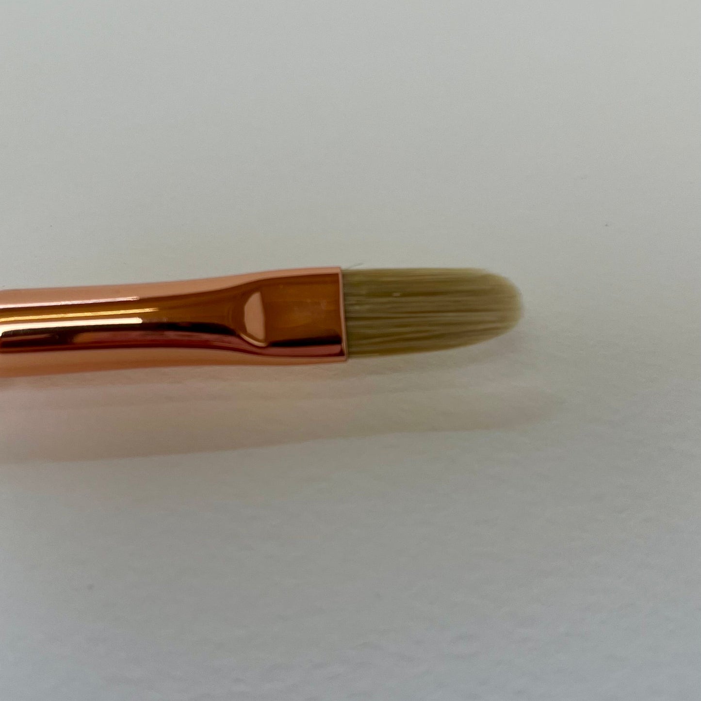 L'impressionniste kattentong 3612.8 Raphael penseel