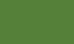 Luminance  MOSS GREEN  225 Kleurpotlood Caran d'ache