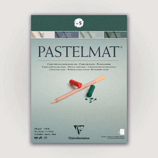 Pastelmat No. 5 (Groen) 360gr 18x24 Clairefontaine Gekleurd Pastelpapier