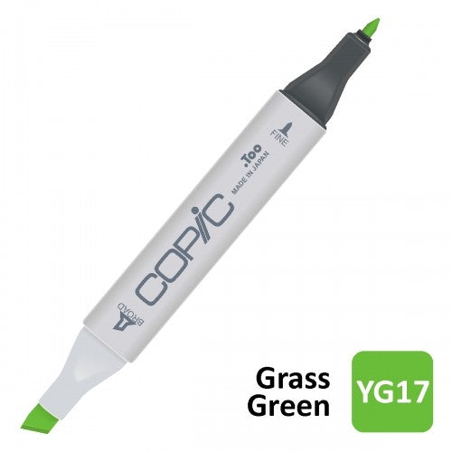 Copic marker YG17