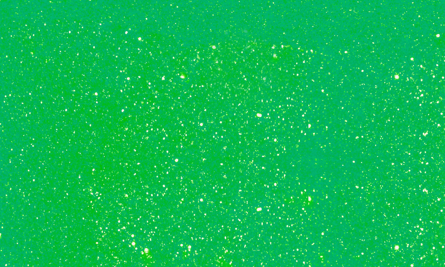 Posca verf stift PC3M Glitter Groen