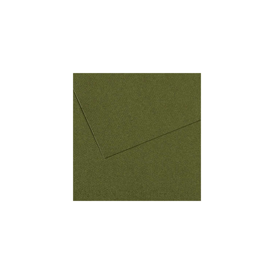 10 vel 160 grs Mi-Teintes gekleurd papier, no 448 sap groen 50x65cm